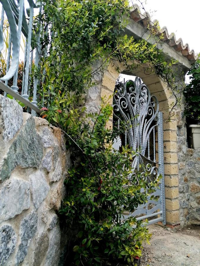 Afrodite Accomodation Tropea Exterior photo